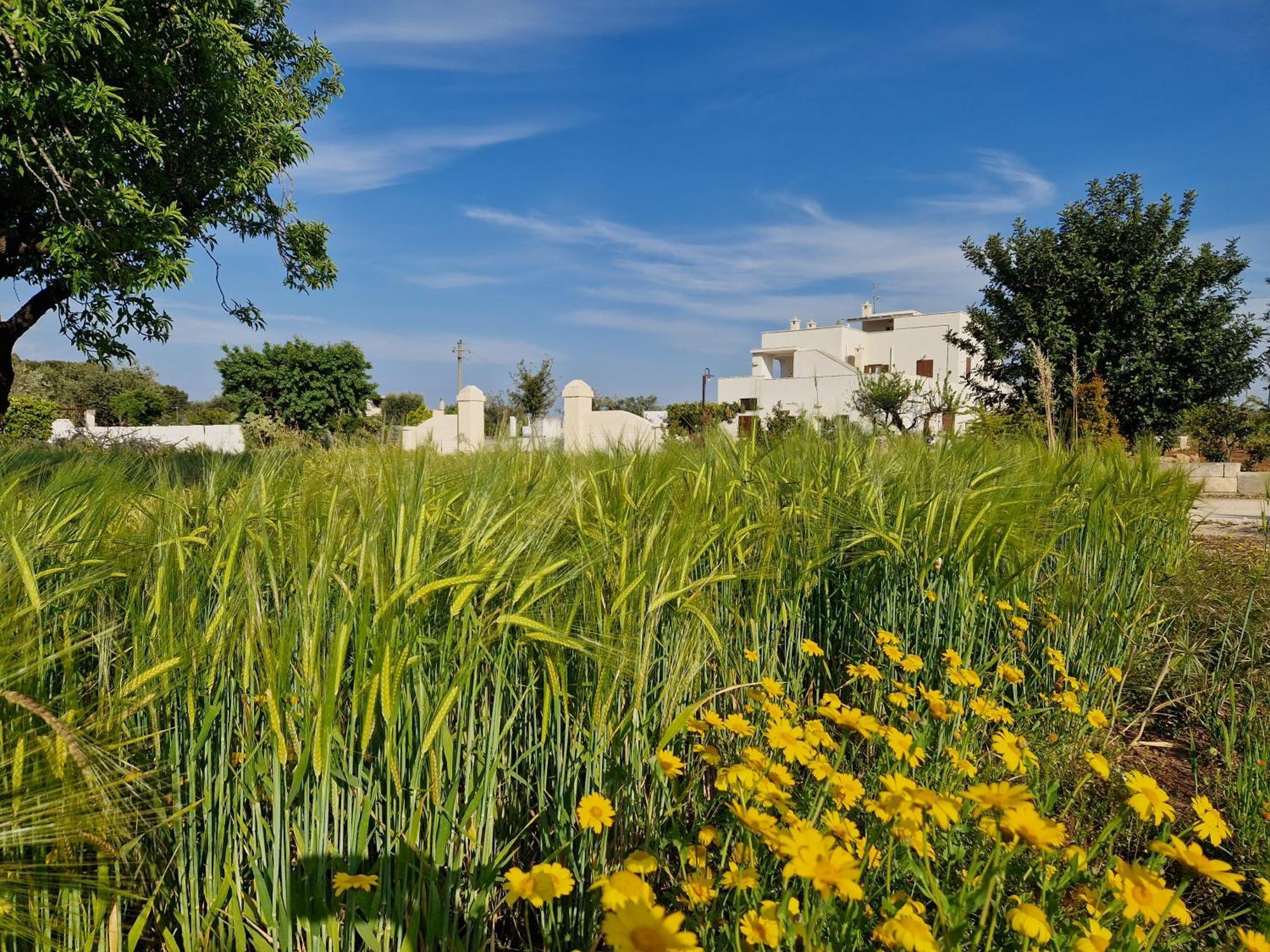 Villa Residenza "I Tre Carrubi " Fasano Exterior foto
